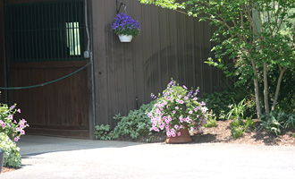 Barn Entrance